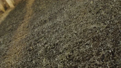 Water Running Down Wall with Hedge Structure Video stock 166143175