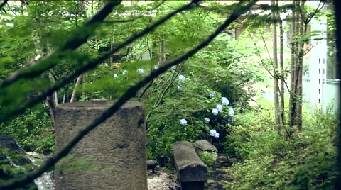 Water running in a garden Stock Footage 54896533