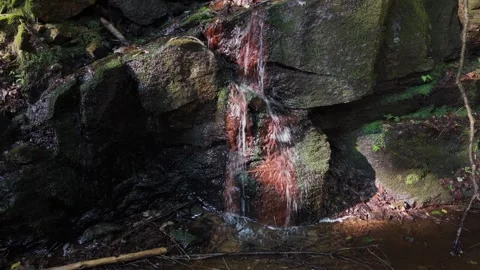 Water running on ledge Keene 8-4-26 Video stock 345450891