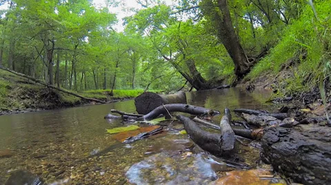 Water Running by Logs Stock Footage 36135589