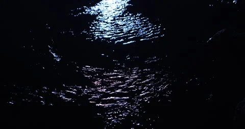 Water running in Moonlight Stock Footage 335437005