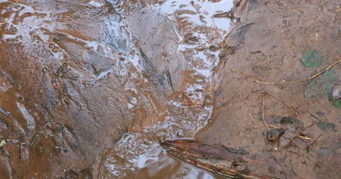 Water Running in the Mud Stock Footage 170981607