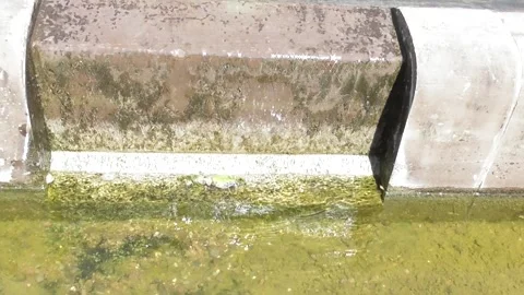 Water running out of a basin around a fountain Stock Footage 334570442