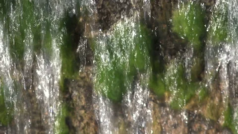 Water running over background of green moss abstract wallpaper colour 4K Stock Footage 148456703