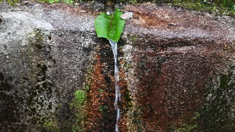 Water running over leaf into pool of water Stock Footage 162919302