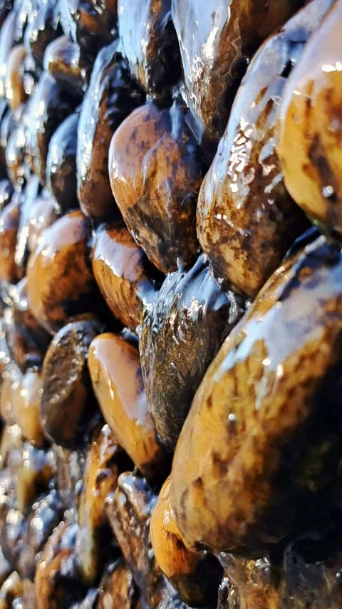 Water running over rocks 스톡 동영상 320890781