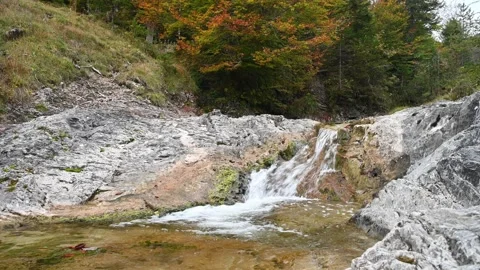 Water running over rocks in front of trees in autumn Video stock 260864589