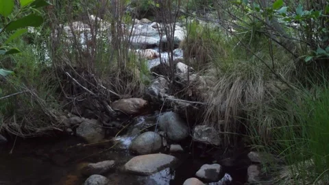 Water running over rocks in a river Stockbeeldmateriaal 153947951