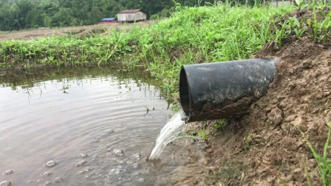 Water running on a paddy field Stock Footage 132540445