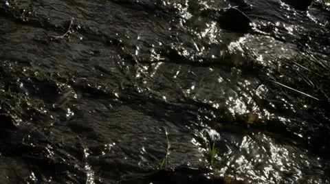 Water running on path 1 Video stock 10605160