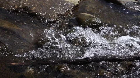 Water running in ravine Vídeos de archivo 295169593