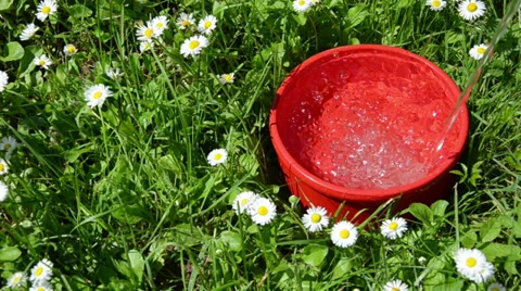 Water running into the red dish in the meadow between flowers Stock Footage 33863427