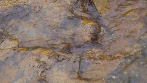 Water Running on Rocks Down Flowing River, in Svalbard in Summer 4K Footage Stock Footage 94486764