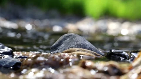 Water running in a small stream Video stock 156890885