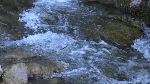 Water running in a small torrent Stock Footage 78796571