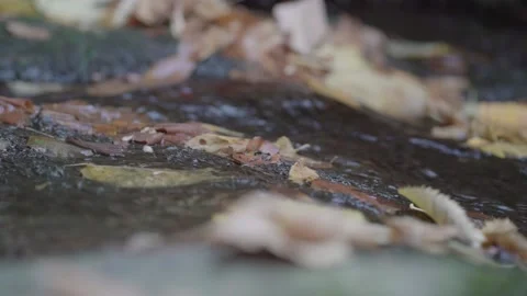 WATER RUNNING (SONY S-LOG2) Stock Footage 223671591