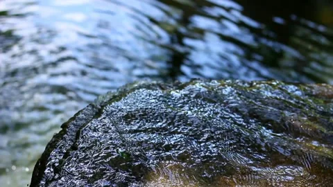 Water Running in Stream Stock Footage 196212325