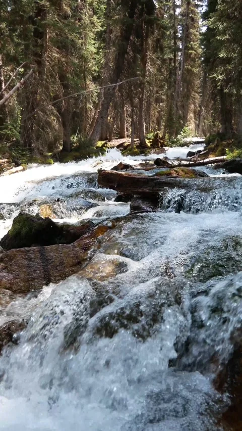 Water running Strongly down the Stream on Summer Sunny Day in Canada Stock Footage 279889433