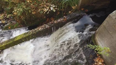Water running through abandoned water mill Stock-Footage 101776473