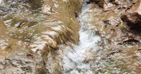 Water running Through mossy rocks Video stock 335354486