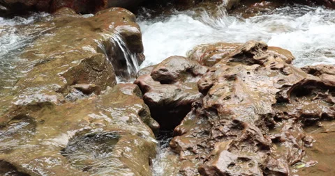 Water running Through mossy rocks Stock Footage 335355195