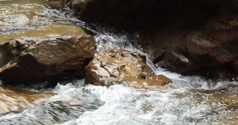 Water running Through mossy rocks 動画素材 335356119