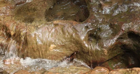 Water running Through mossy rocks 스톡 동영상 335360148