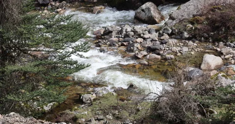 Water running Through mossy rocks Vidéo 335509644
