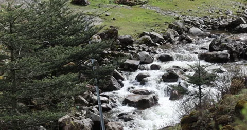 Water running Through mossy rocks Stockbeeldmateriaal 335509725