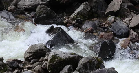 Water running Through mossy rocks Видео 335510208