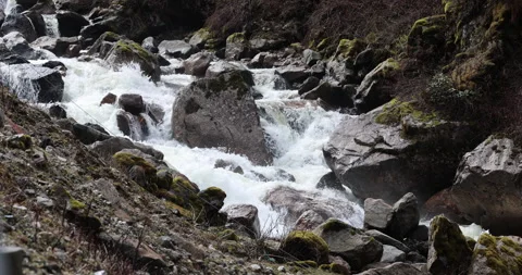 Water running Through mossy rocks Stock Footage 335510351