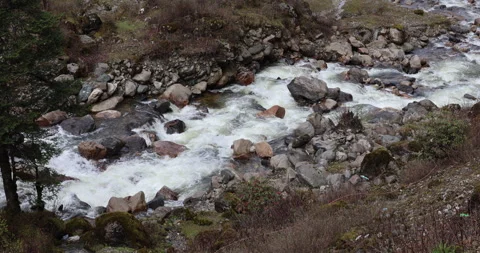 Water running Through mossy rocks Video stock 335510464