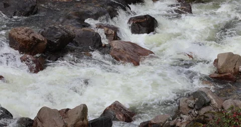 Water running Through mossy rocks Stock Footage 335510950