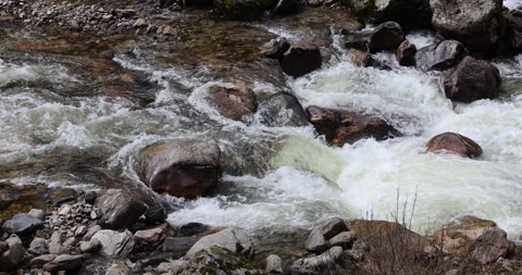 Water running Through mossy rocks Видео 335511606