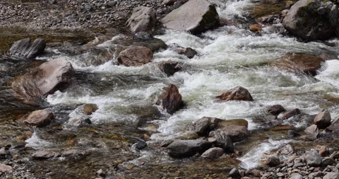 Water running Through mossy rocks Stock Footage 335511688