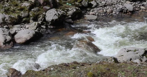 Water running Through mossy rocks Stock Footage 335512260