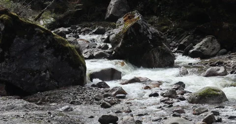 Water running Through mossy rocks Stock Footage 335512333