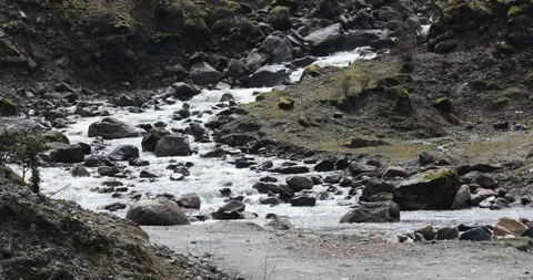 Water running Through mossy rocks Video stock 335512626