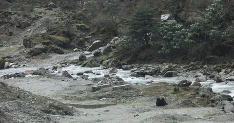 Water running Through mossy rocks Stock Footage 335532584
