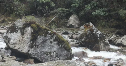 Water running Through mossy rocks Видео 335533368