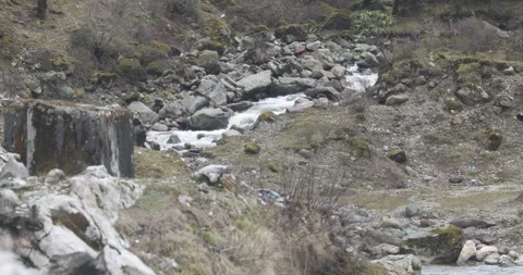 Water running Through mossy rocks Stock Footage 335533454