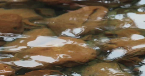 Water running Through mossy rocks 動画素材 335590748