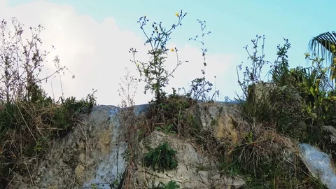Water is Running through Rocks and Plants Stock Footage 123772958