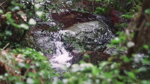Water running through rocks Stock Footage 73927454