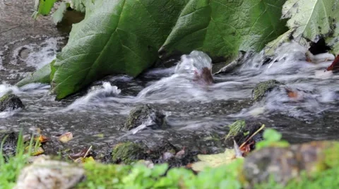 Water running through rocky stream Stock Footage 43380309