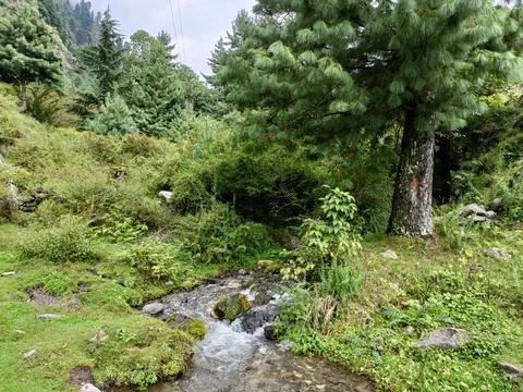 Water Running Through The Stream Stock Photos
