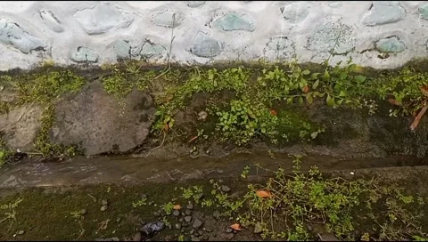Water in running waterways Video stock 217424532