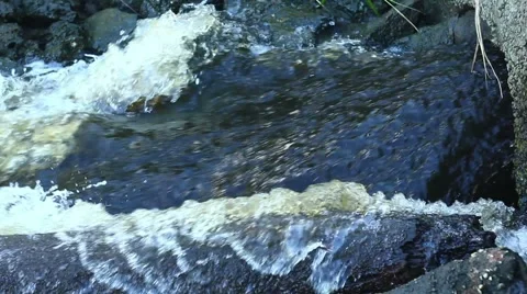 Water Runoff, Could be Sewer Drainage Stock Footage 1094277