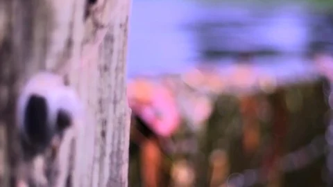 Water Runoff Stock Footage 76396952