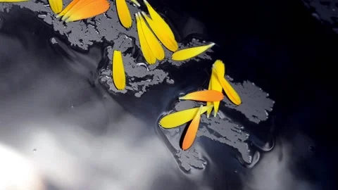 Water runs down the black matte surface Stock Footage 135997663